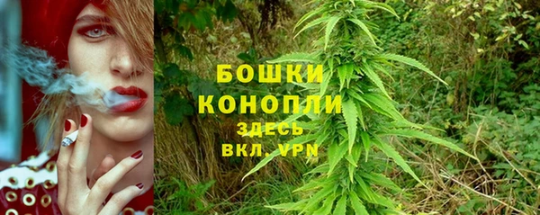 PSILOCYBIN Алзамай